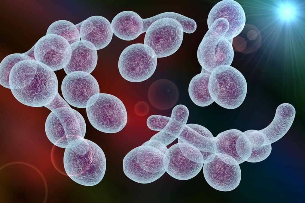 vyrų bakterinio prostatito sukėlėjas